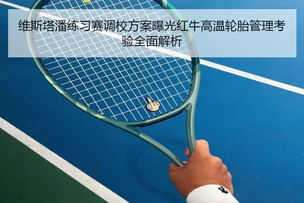维斯塔潘练习赛调校方案曝光红牛高温轮胎管理考验全面解析