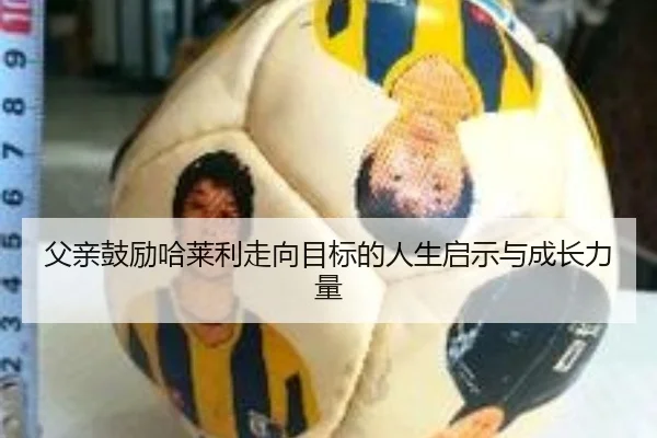 父亲鼓励哈莱利走向目标的人生启示与成长力量